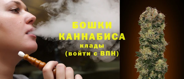 твердый Михайловск